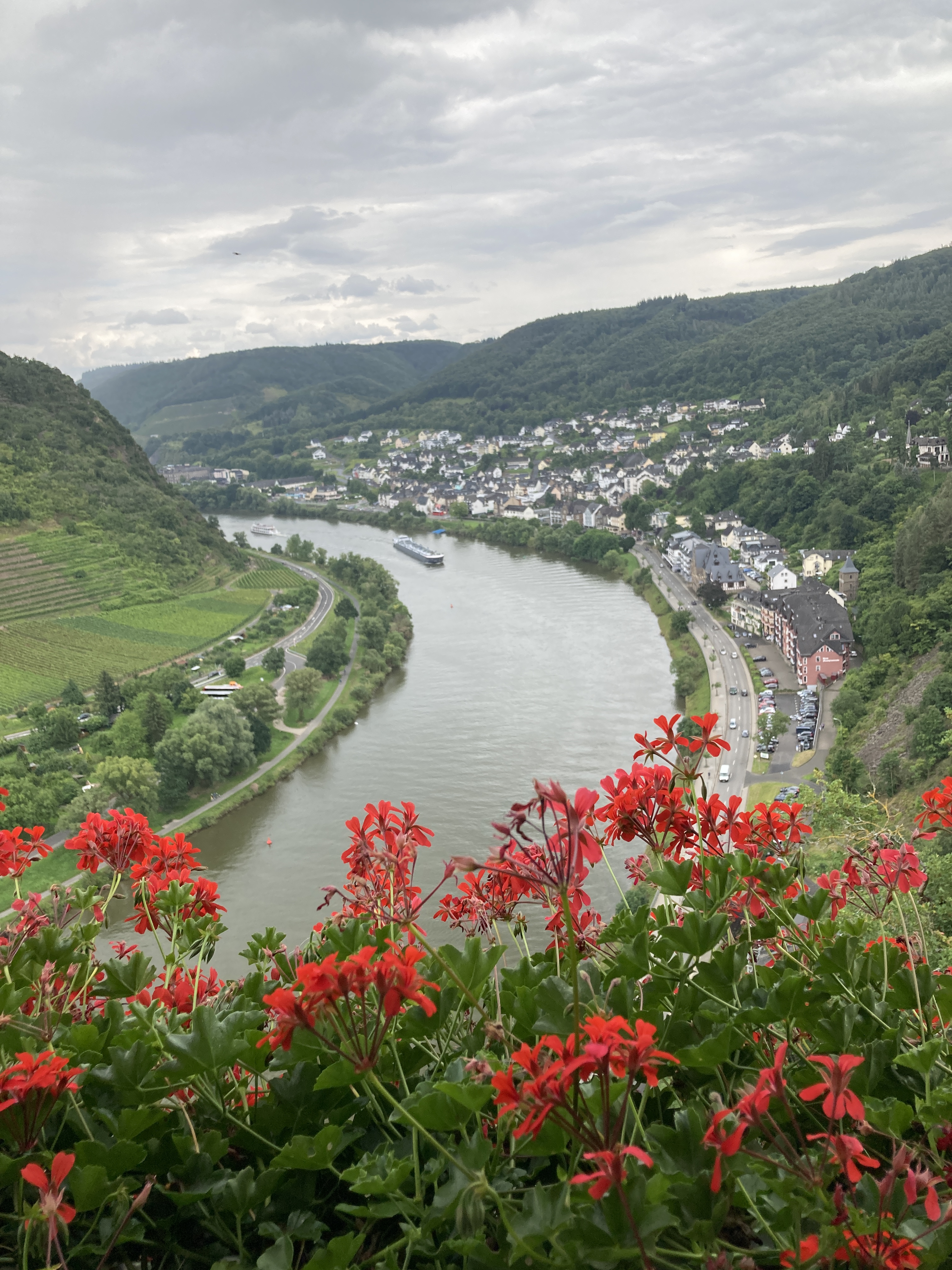 The view from Castle Cochem: You can see the Mosel-river and a part of the town.