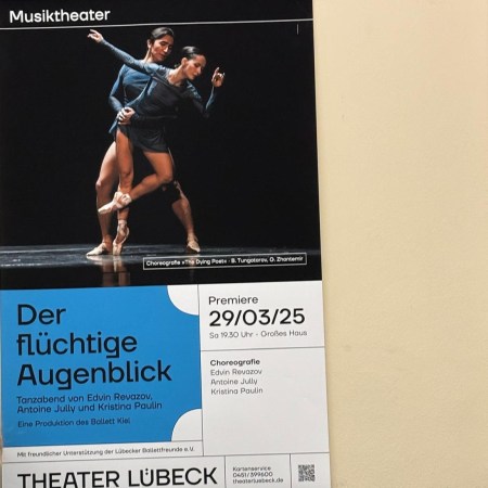 Plakat zu "Der flüchtige Augenblick"
